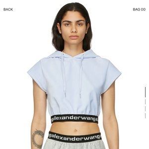Alexander Wang Logo Strap Cropped Hoodie